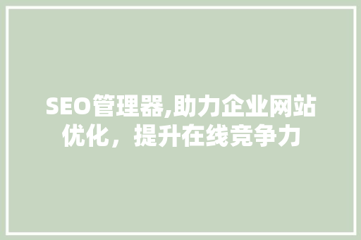 SEO管理器,助力企业网站优化，提升在线竞争力