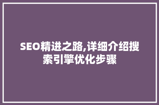 SEO精进之路,详细介绍搜索引擎优化步骤
