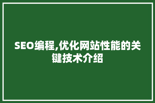 SEO编程,优化网站性能的关键技术介绍