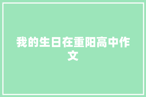 SEO网站开发全攻略,打造搜索引擎优化的高效之路