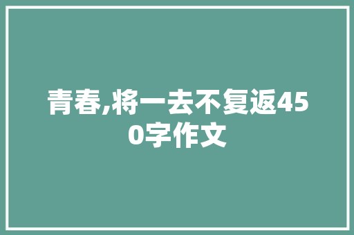 SEO网站收录量提升步骤,详细介绍与实战指南