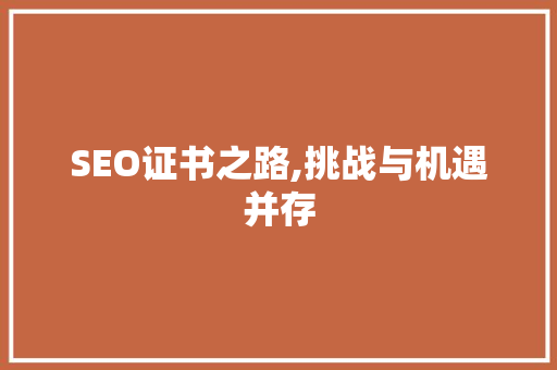 SEO证书之路,挑战与机遇并存