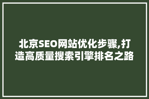 北京SEO网站优化步骤,打造高质量搜索引擎排名之路