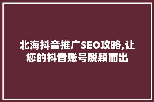 北海抖音推广SEO攻略,让您的抖音账号脱颖而出