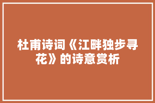 南京SEO网站推广公司,助力企业提升网络竞争力，抢占市场份额