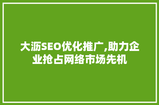 大沥SEO优化推广,助力企业抢占网络市场先机