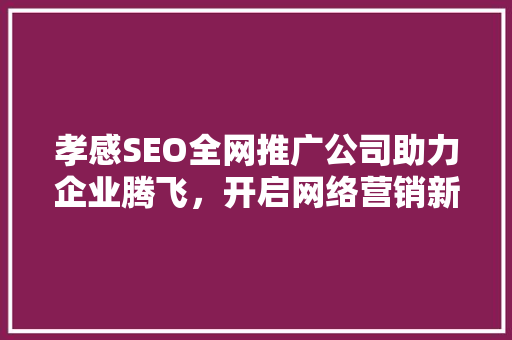 孝感SEO全网推广公司助力企业腾飞，开启网络营销新篇章
