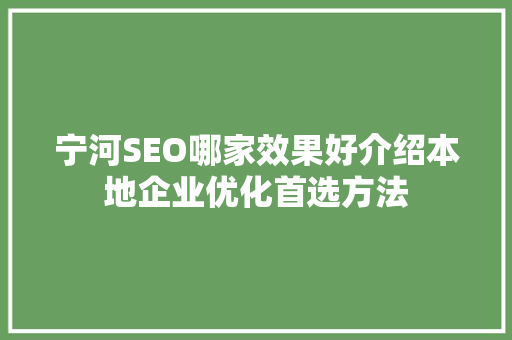宁河SEO哪家效果好介绍本地企业优化首选方法