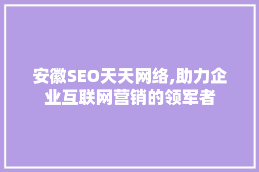 安徽SEO天天网络,助力企业互联网营销的领军者
