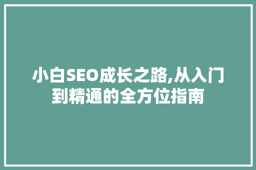 小白SEO成长之路,从入门到精通的全方位指南  第1张