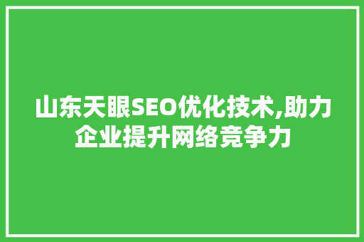 山东天眼SEO优化技术,助力企业提升网络竞争力