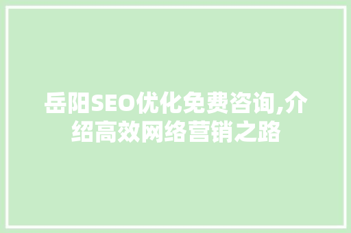 岳阳SEO优化免费咨询,介绍高效网络营销之路
