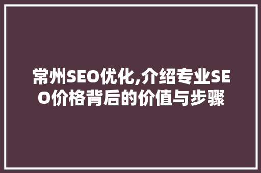 常州SEO优化,介绍专业SEO价格背后的价值与步骤  第1张