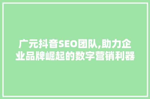 广元抖音SEO团队,助力企业品牌崛起的数字营销利器