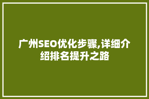 广州SEO优化步骤,详细介绍排名提升之路
