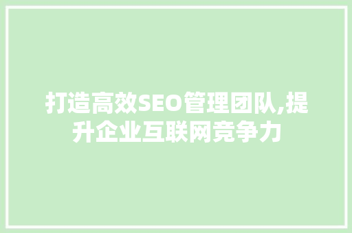 打造高效SEO管理团队,提升企业互联网竞争力