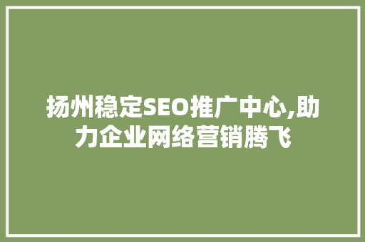 扬州稳定SEO推广中心,助力企业网络营销腾飞