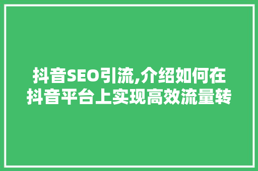 抖音SEO引流,介绍如何在抖音平台上实现高效流量转化
