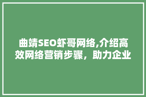 曲靖SEO虾哥网络,介绍高效网络营销步骤，助力企业腾飞