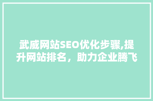 武威网站SEO优化步骤,提升网站排名，助力企业腾飞