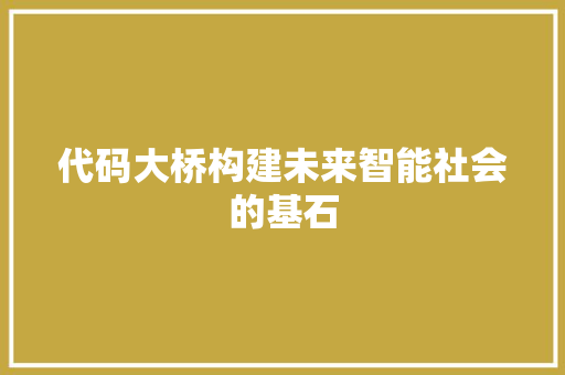 代码大桥构建未来智能社会的基石