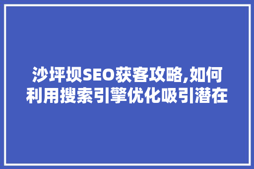 沙坪坝SEO获客攻略,如何利用搜索引擎优化吸引潜在客户