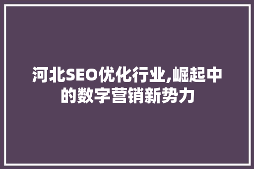 河北SEO优化行业,崛起中的数字营销新势力