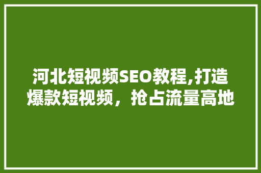 河北短视频SEO教程,打造爆款短视频，抢占流量高地