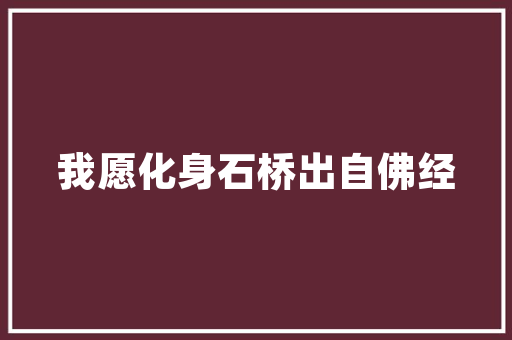 海淀百度SEO优化,助力企业提升在线竞争力
