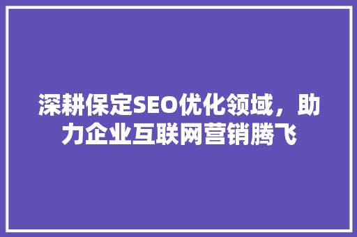 深耕保定SEO优化领域，助力企业互联网营销腾飞