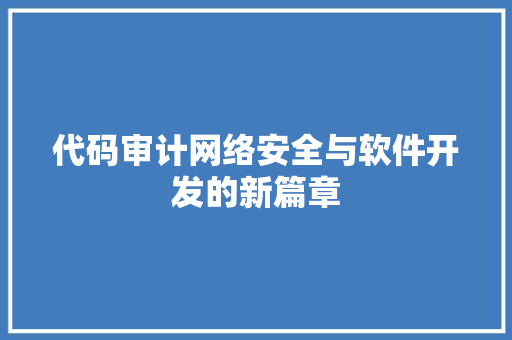 代码审计网络安全与软件开发的新篇章