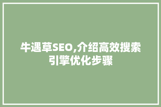 牛遇草SEO,介绍高效搜索引擎优化步骤