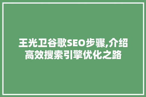 王光卫谷歌SEO步骤,介绍高效搜索引擎优化之路