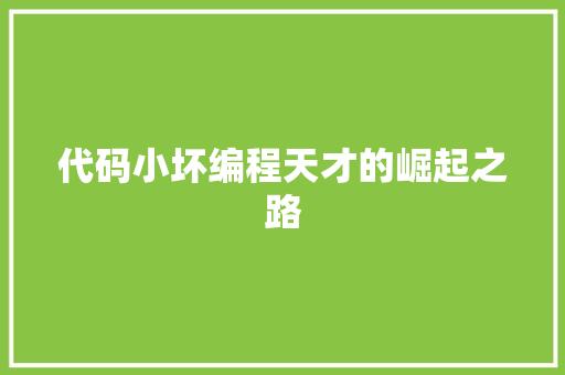 代码小坏编程天才的崛起之路