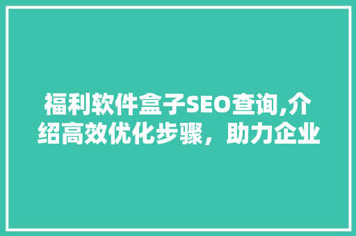 福利软件盒子SEO查询,介绍高效优化步骤，助力企业抢占市场先机