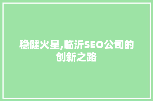 稳健火星,临沂SEO公司的创新之路