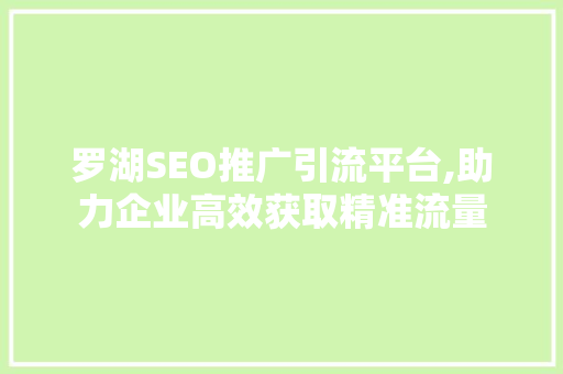 罗湖SEO推广引流平台,助力企业高效获取精准流量