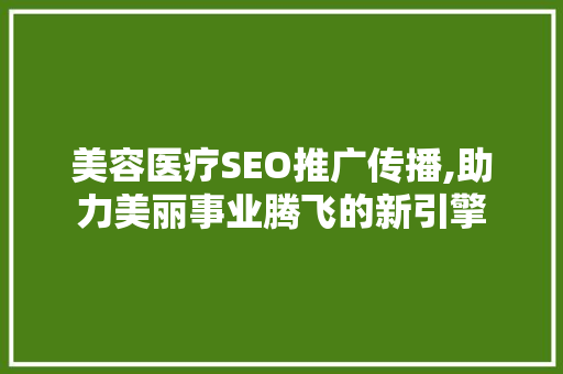 美容医疗SEO推广传播,助力美丽事业腾飞的新引擎