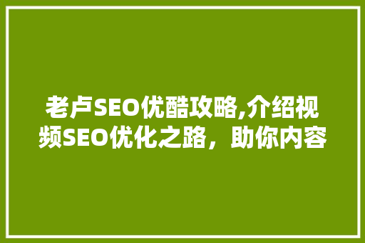 老卢SEO优酷攻略,介绍视频SEO优化之路，助你内容脱颖而出