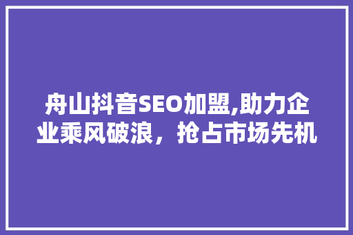 舟山抖音SEO加盟,助力企业乘风破浪，抢占市场先机