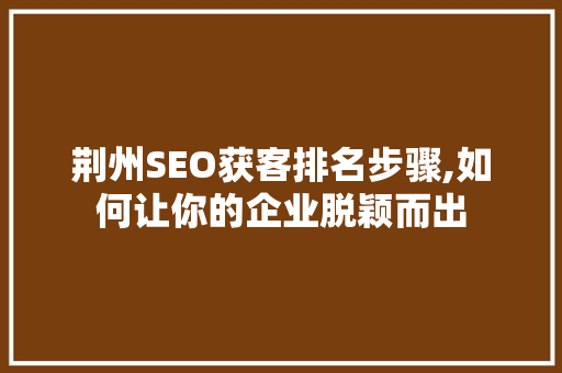 荆州SEO获客排名步骤,如何让你的企业脱颖而出