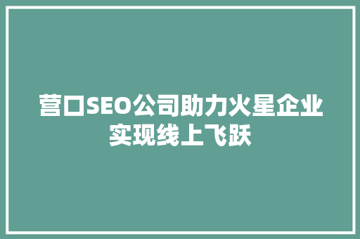 营口SEO公司助力火星企业实现线上飞跃