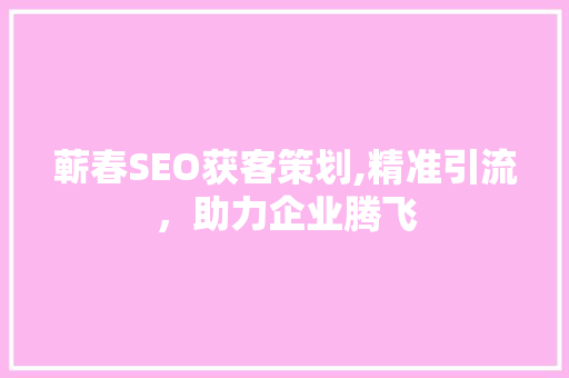 蕲春SEO获客策划,精准引流，助力企业腾飞