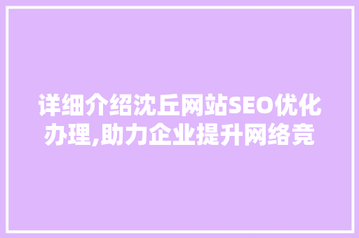 详细介绍沈丘网站SEO优化办理,助力企业提升网络竞争力