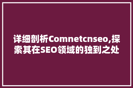 详细剖析Comnetcnseo,探索其在SEO领域的独到之处