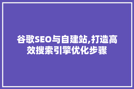 谷歌SEO与自建站,打造高效搜索引擎优化步骤