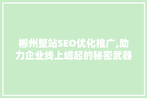 郴州整站SEO优化推广,助力企业线上崛起的秘密武器
