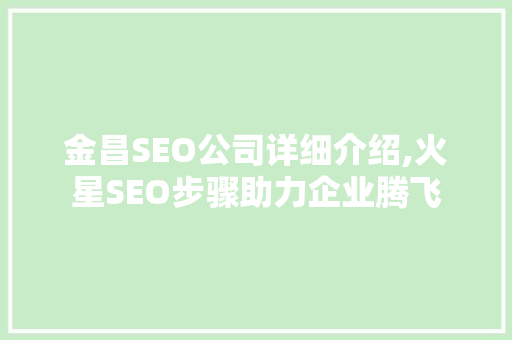 金昌SEO公司详细介绍,火星SEO步骤助力企业腾飞