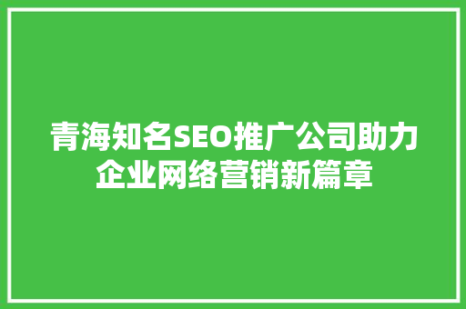 青海知名SEO推广公司助力企业网络营销新篇章  第1张