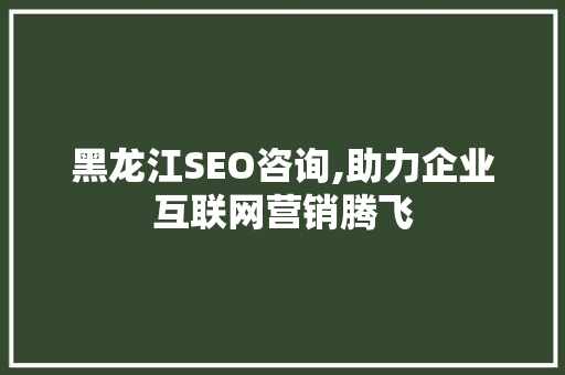 黑龙江SEO咨询,助力企业互联网营销腾飞